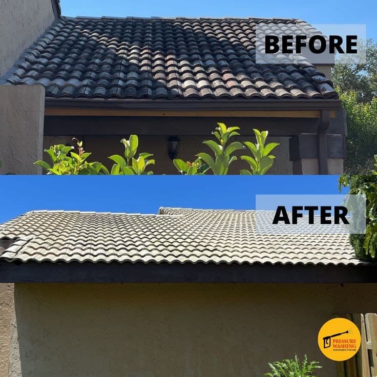 Alfa Pressure & Gutter Cleaning pressure washing work in Cloverdale
