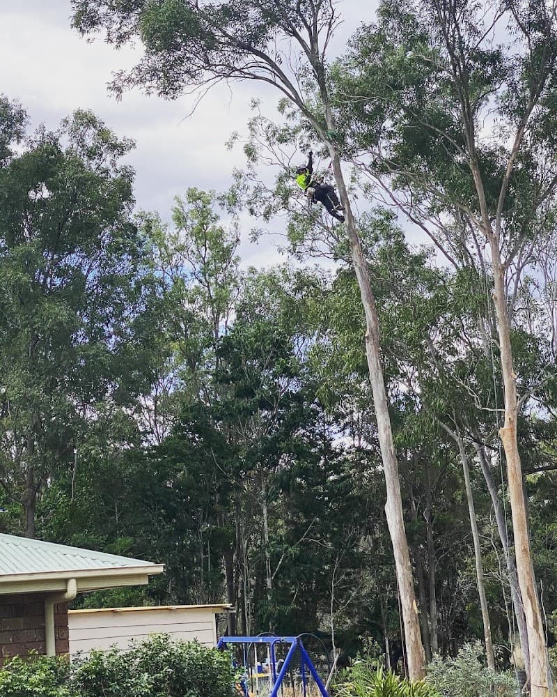 All Able Yards Tree & Stumpgrinding Service tree services work in Pine Mountain