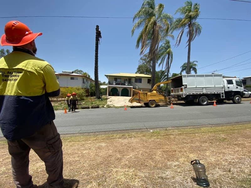 All Able Yards Tree & Stumpgrinding Service tree services work in Pine Mountain