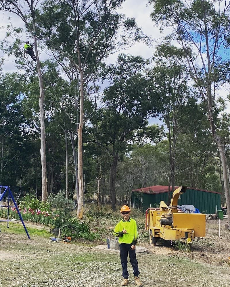 All Able Yards Tree & Stumpgrinding Service tree services work in Pine Mountain