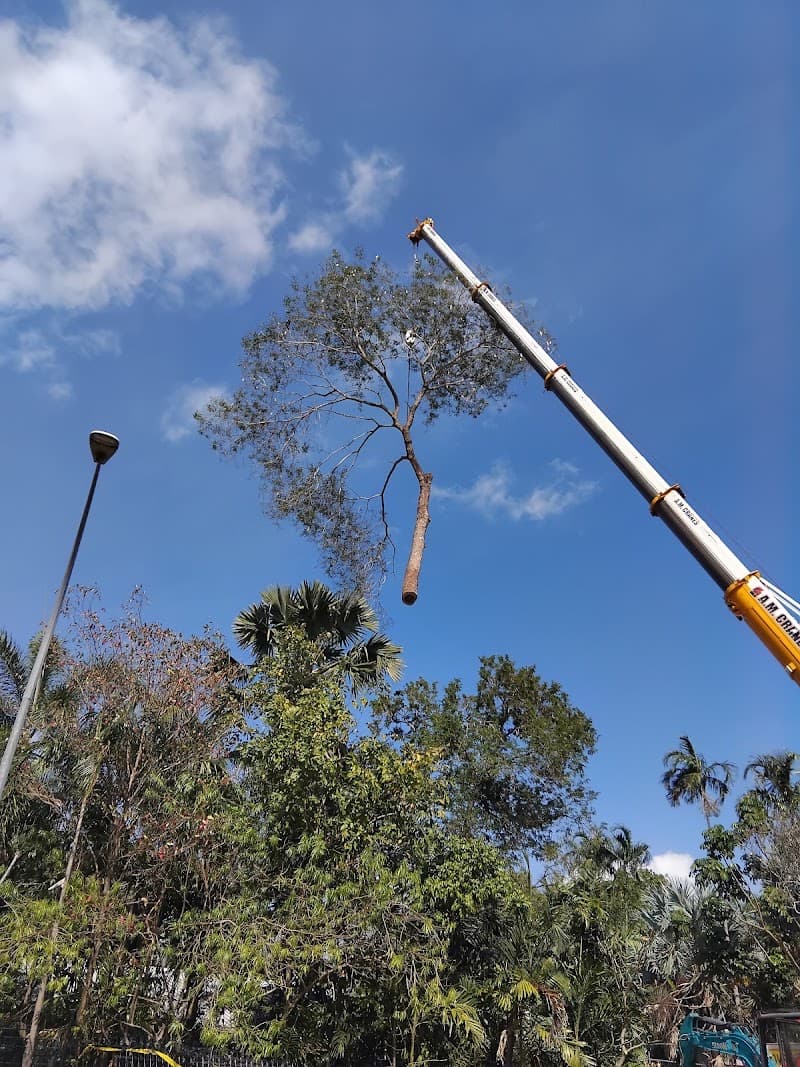 All About Garden Care Darwin landscaping work in Nakara
