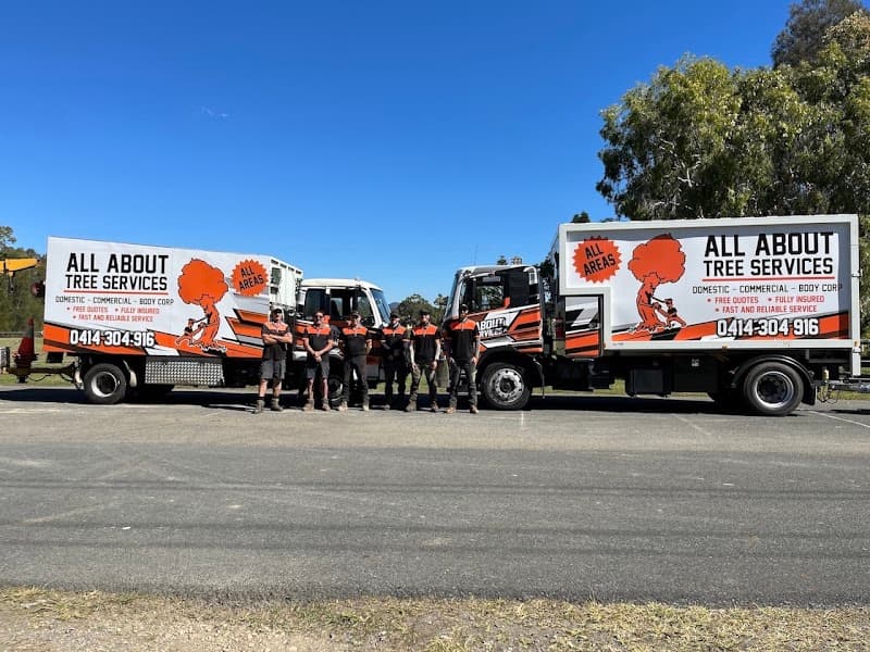 All About Tree Services QLD tree services work in Elanora