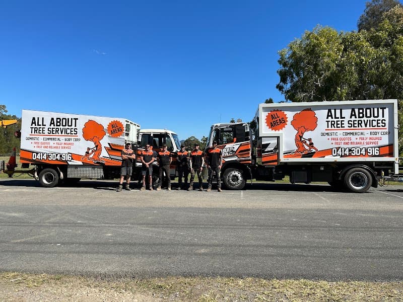 All About Tree Services QLD tree services work in Elanora