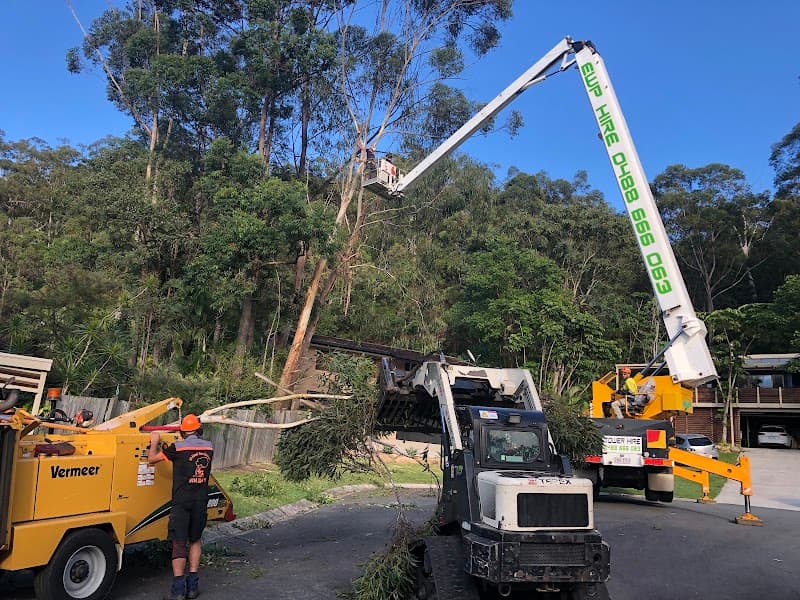 All About Tree Services QLD tree services work in Elanora