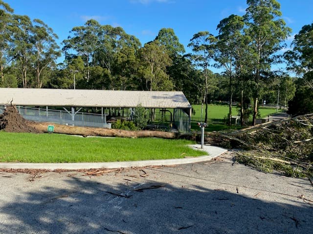 All Area Tree Service Pty Ltd tree services work in Fountaindale