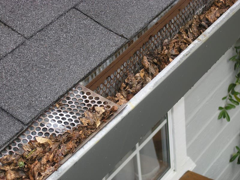 All Brisbane Gutter Cleaning gutter cleaning work in Carina Heights