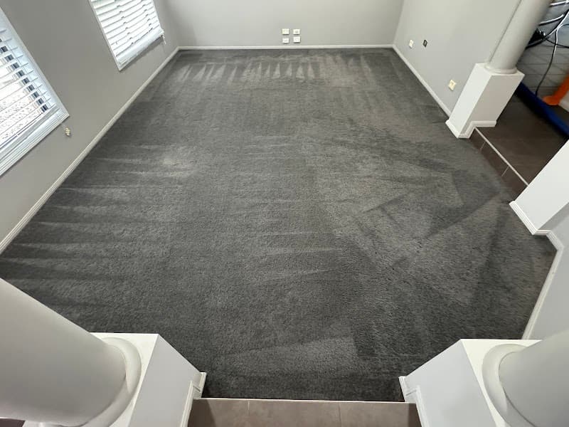 ALL CARPET CLEANSING carpet cleaning work in Newtown
