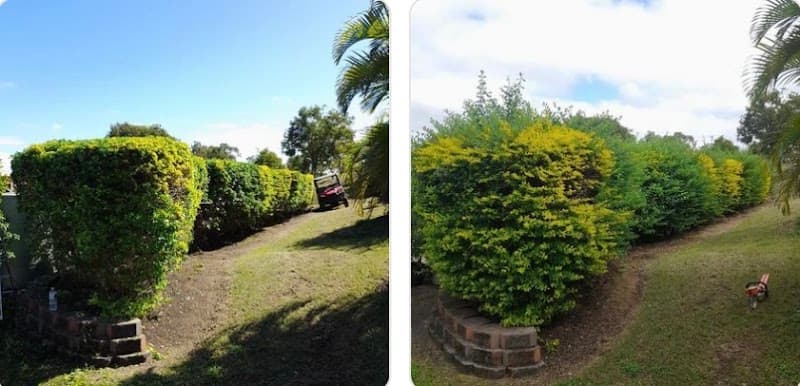 All Day Mowing & Garden Services gardening work in The Range