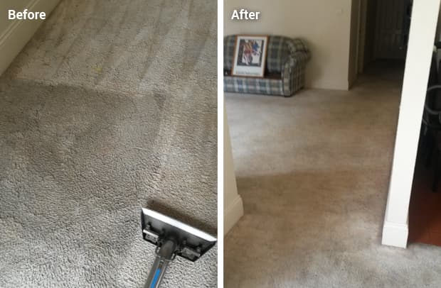 All Fresh Cleaning cleaning work in Willaston