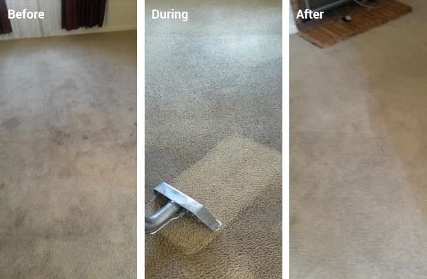 All Fresh Cleaning cleaning work in Willaston