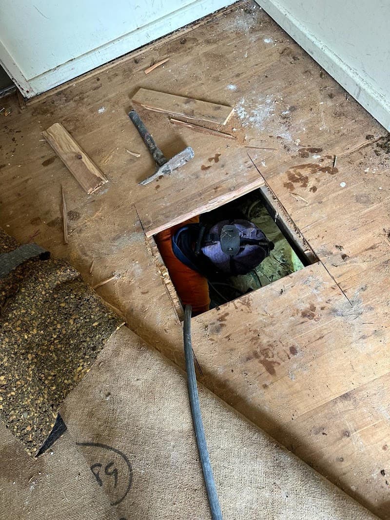 All Pest Control Newcastle pest control work in Fletcher