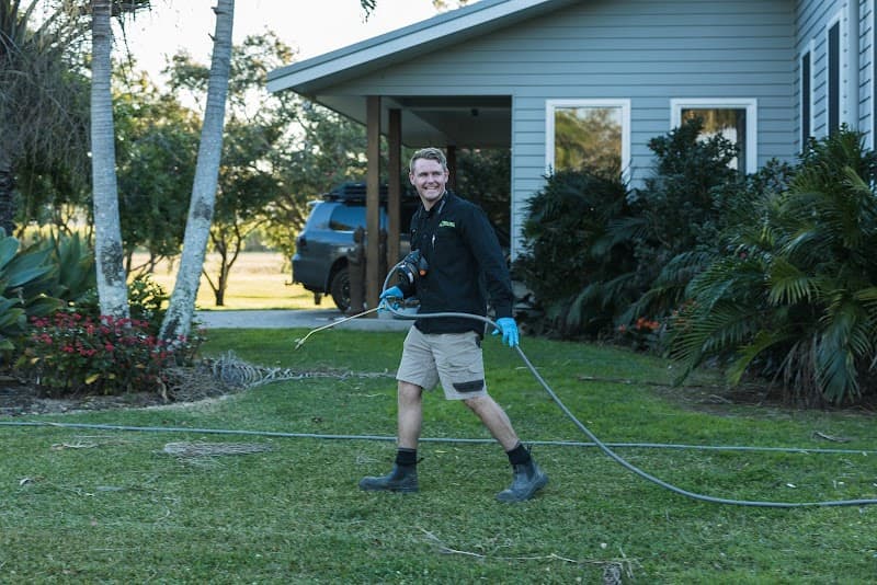 All Pest Solutions Gold Coast pest control work in Molendinar