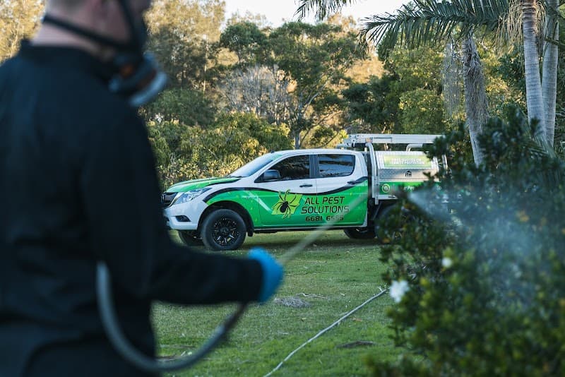 All Pest Solutions Gold Coast pest control work in Molendinar