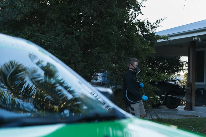 All Pest Solutions Gold Coast pest control work in Molendinar