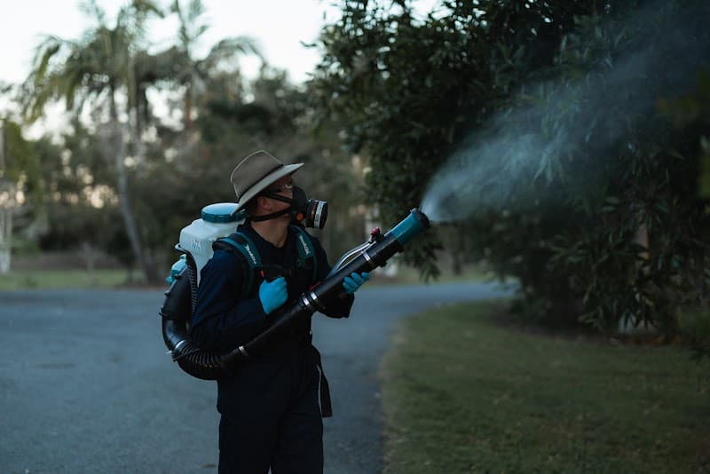 All Pest Solutions Gold Coast pest control work in Molendinar