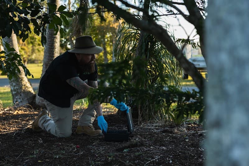 All Pest Solutions Gold Coast pest control work in Molendinar