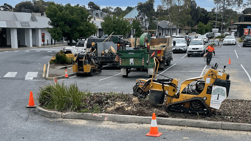 All Purpose Tree Services tree services work in Ottoway