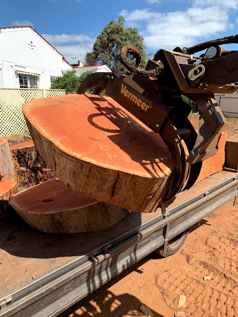 All Purpose Tree Services tree services work in Ottoway