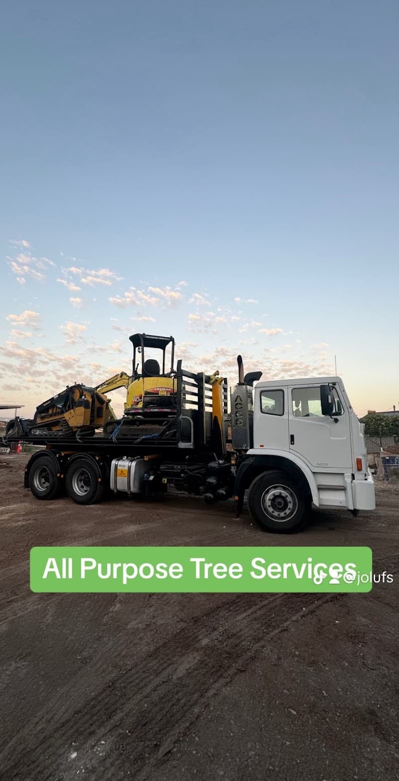 All Purpose Tree Services tree services work in Ottoway