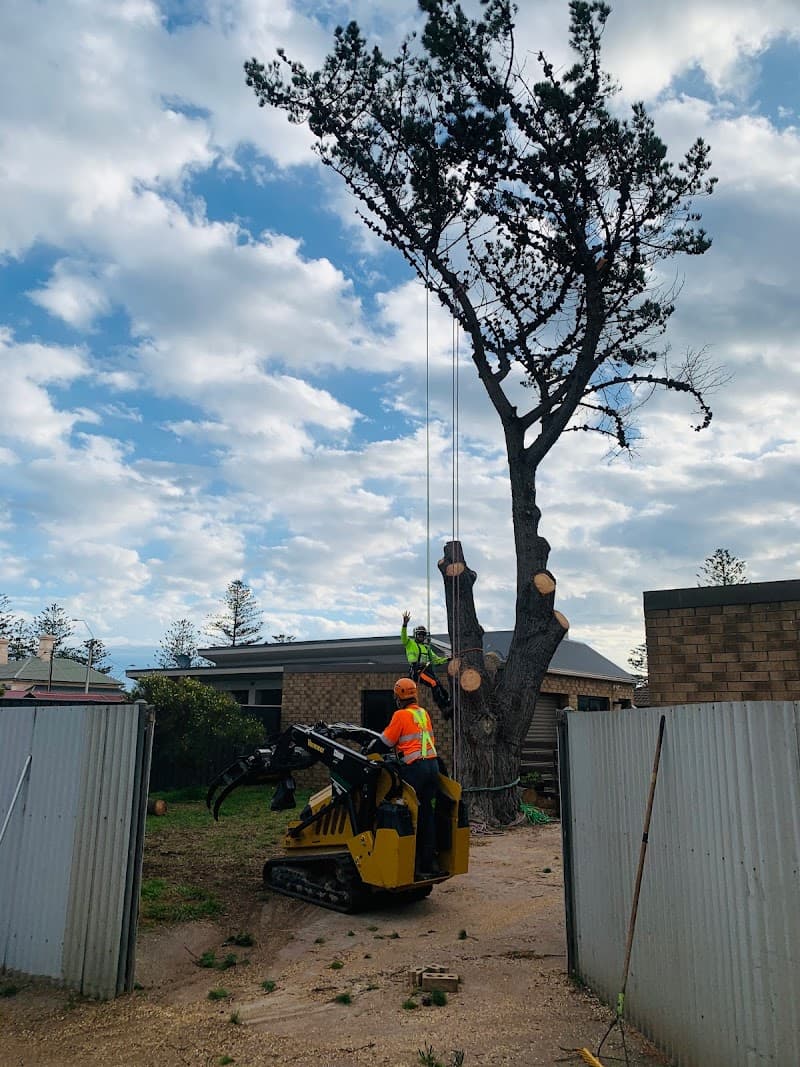 All Purpose Tree Services tree services work in Ottoway
