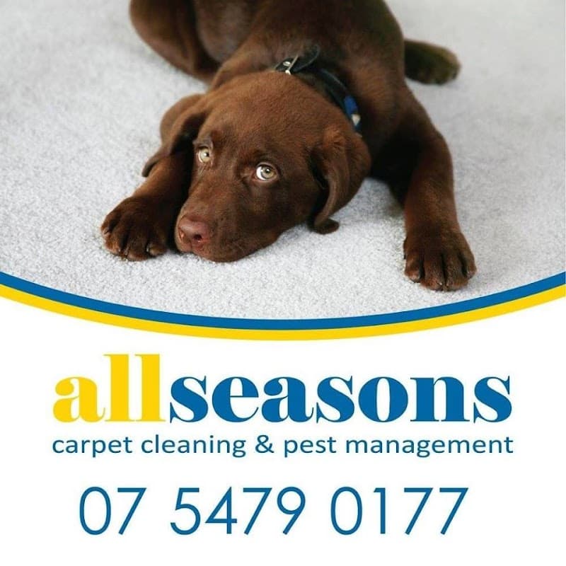 All Seasons Carpet Cleaning & Pest Control carpet cleaning work in Kuluin