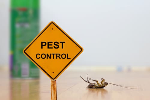 All Shire Pest Control pest control work in Miranda