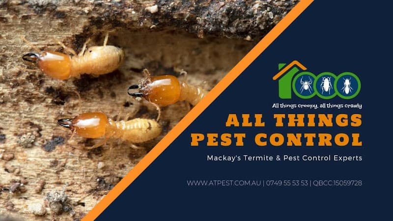 All Things Pest Control pest control work in Mackay