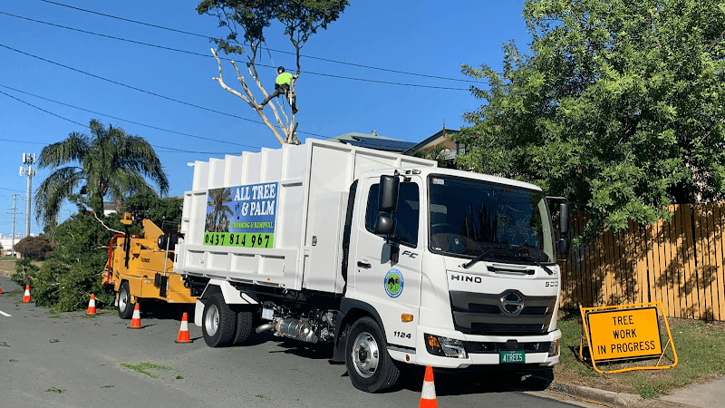 All Tree & Palm tree services work in Redcliffe