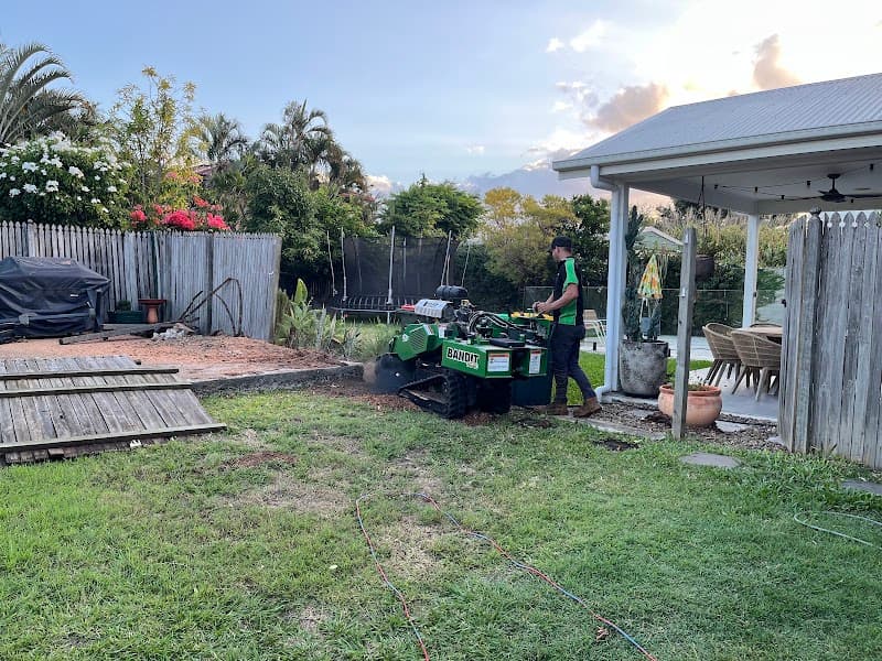 All Tree & Palm tree services work in Redcliffe