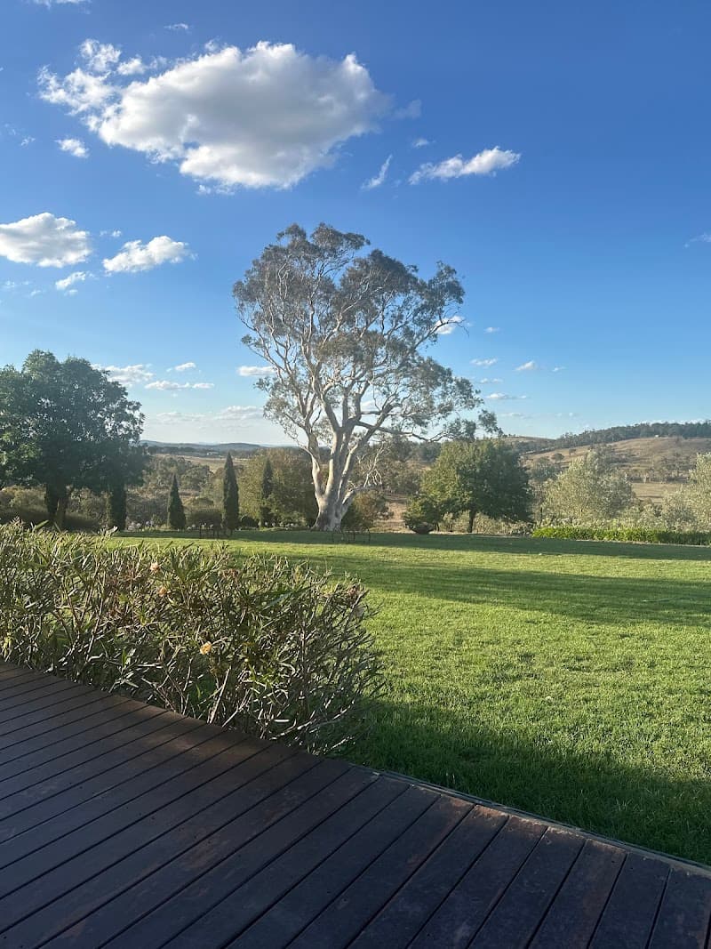 All tree services Canberra and Gosford tree services work in Queanbeyan