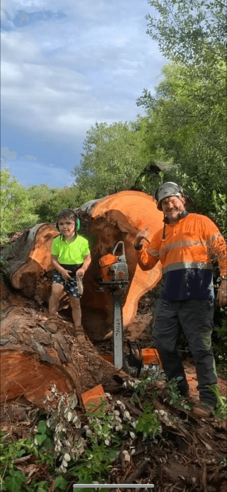 All tree services Canberra and Gosford tree services work in Queanbeyan