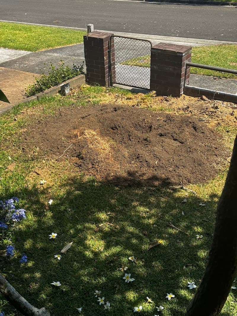 All tree services Canberra and Gosford tree services work in Queanbeyan