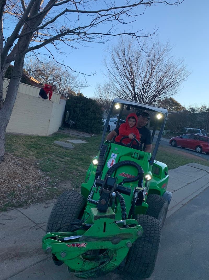 All tree services Canberra and Gosford tree services work in Queanbeyan
