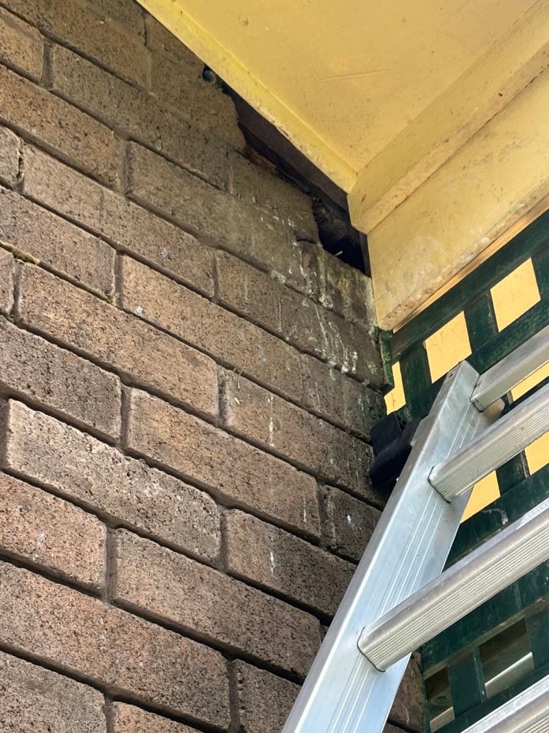 Allaround Pest Control Hobart pest control work in Geilston Bay