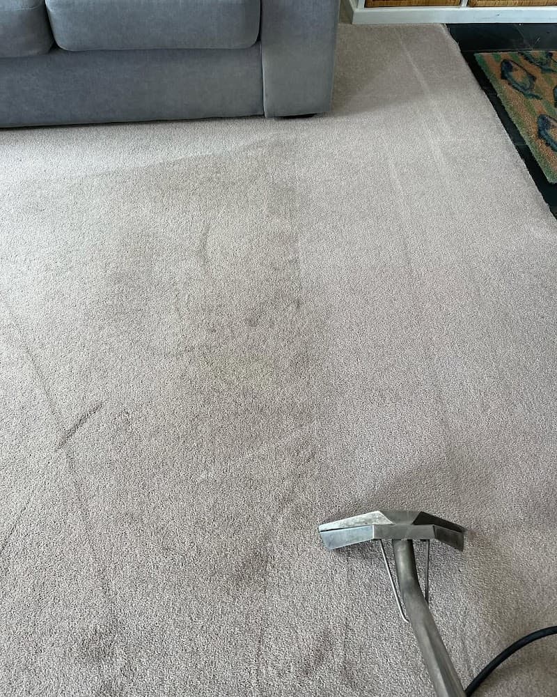 Allclass Carpet & Upholstery Care carpet cleaning work in Barton