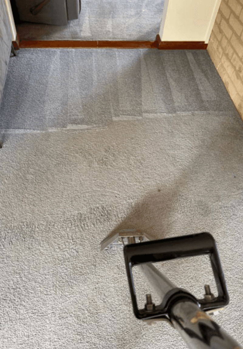 Allclass Carpet & Upholstery Care carpet cleaning work in Barton