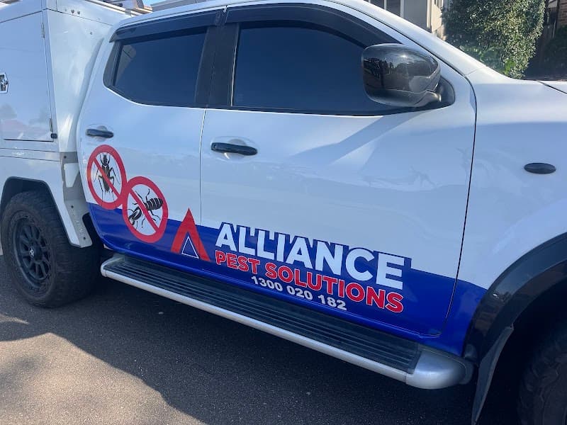 Alliance Pest Solutions pest control work in Brookvale