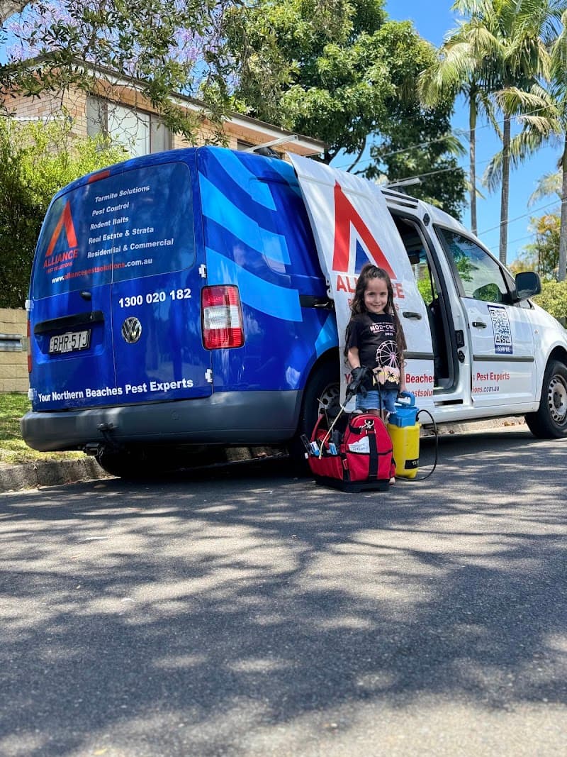 Alliance Pest Solutions pest control work in Brookvale
