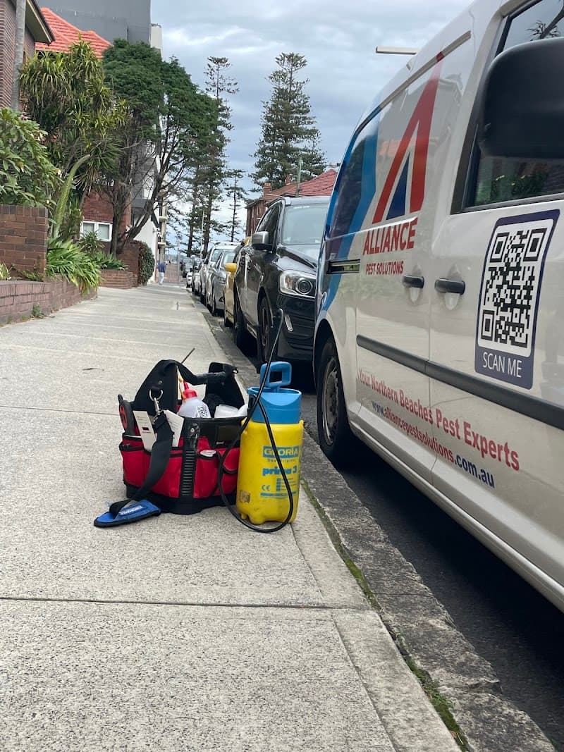Alliance Pest Solutions pest control work in Brookvale