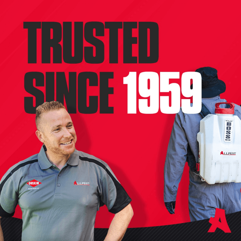 Allpest South West pest control work in Davenport
