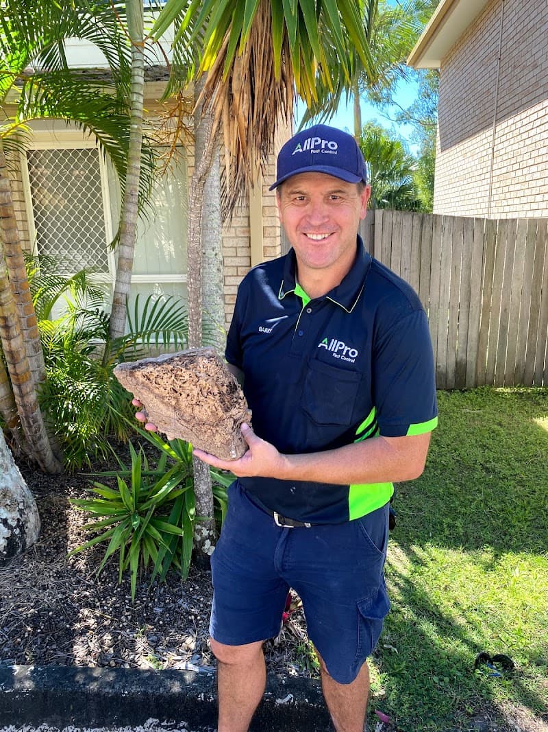 AllPro Pest Control pest control work in Thornlands
