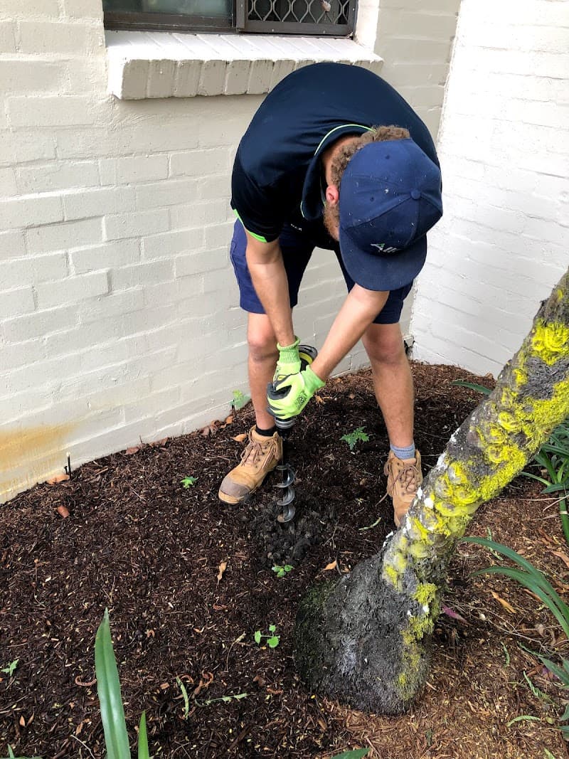 AllPro Pest Control pest control work in Thornlands