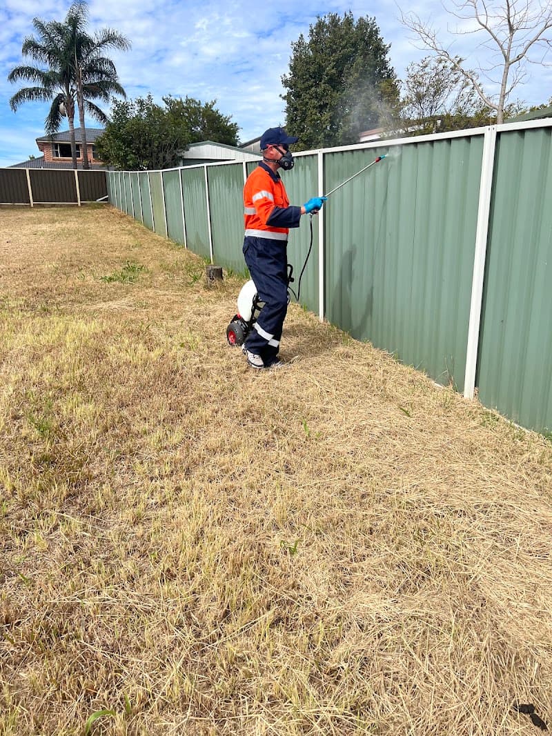 Allstar Pest Control Co pest control work in Penrith