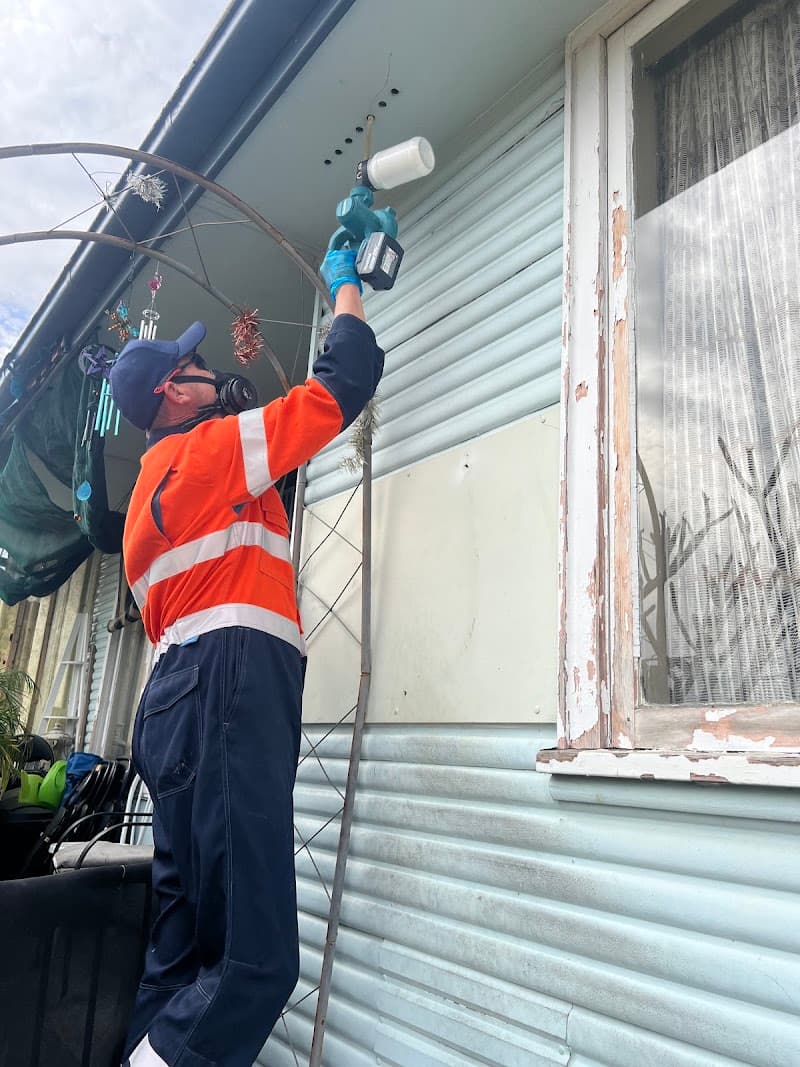 Allstar Pest Control Co pest control work in Penrith