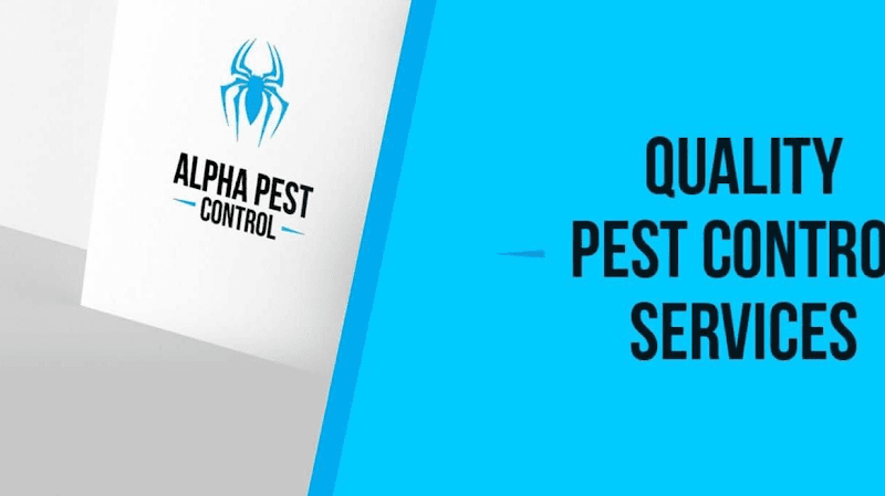 Alpha Pest Control pest control work in Parramatta