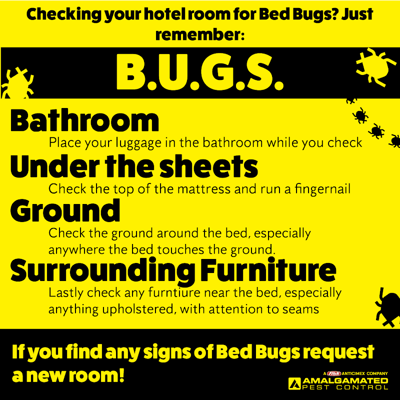 Amalgamated Pest Control Toowoomba Country pest control work in Toowoomba City