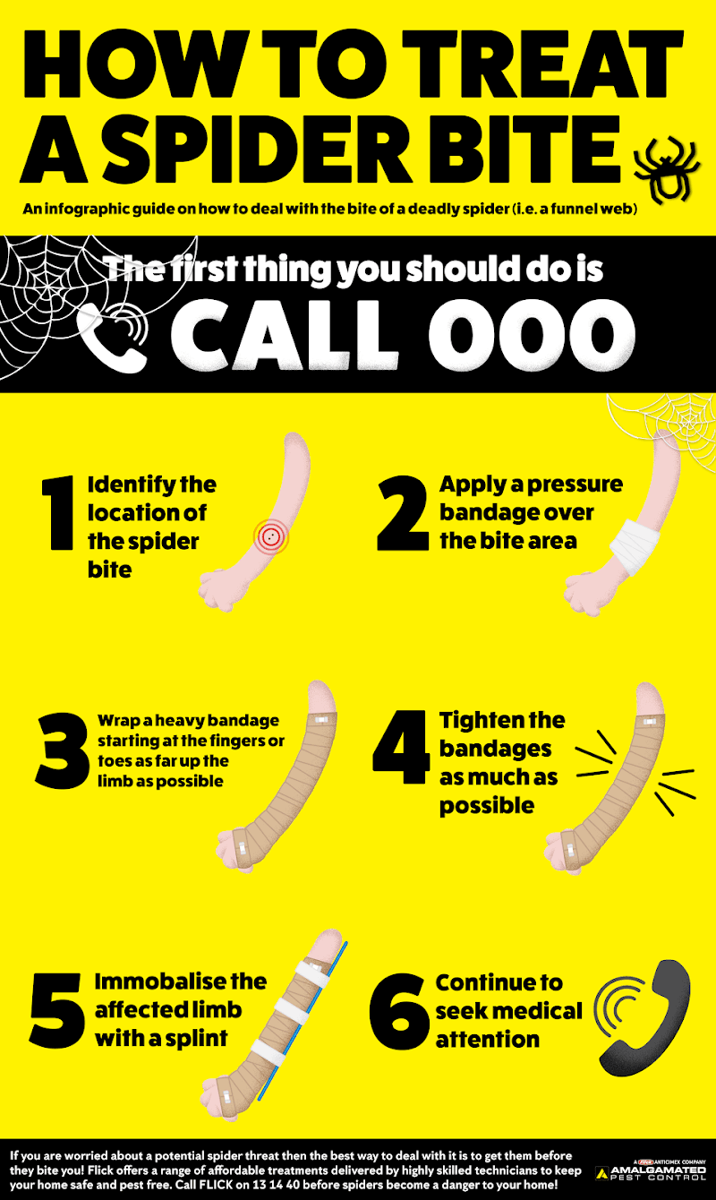 Amalgamated Pest Control Toowoomba Country pest control work in Toowoomba City
