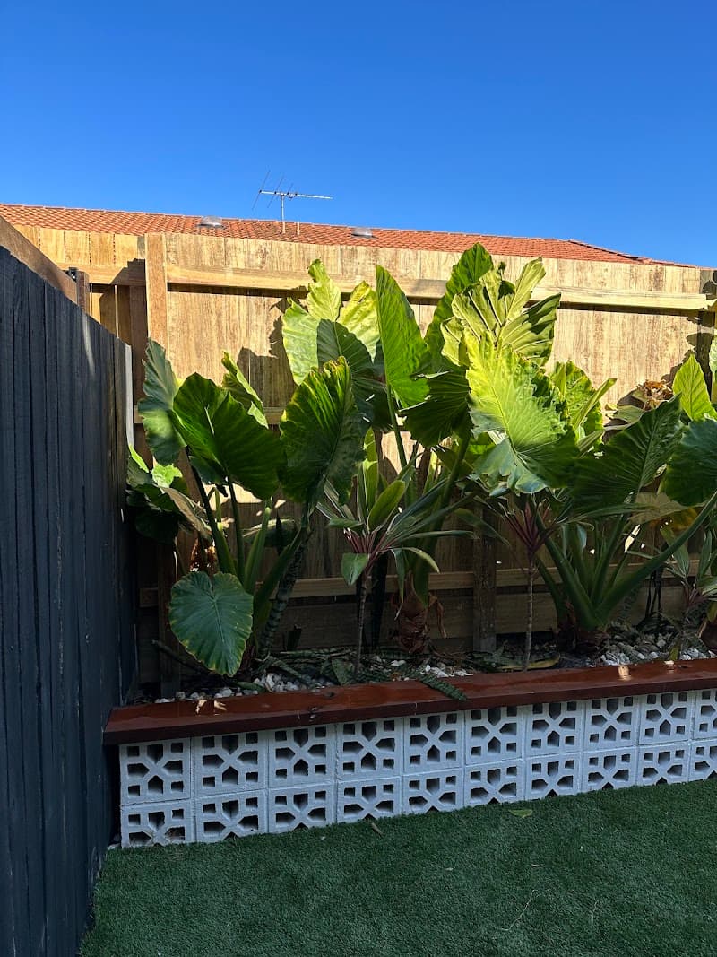 Amazing Fencing QLD fencing work in Yatala