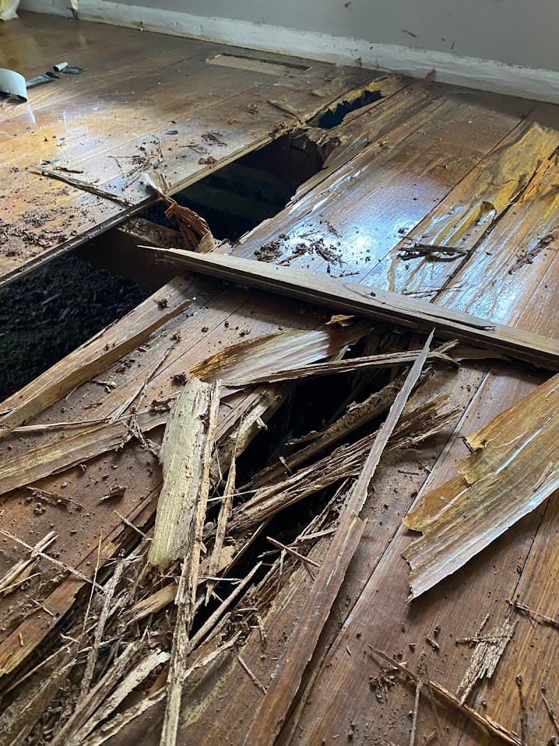 Amazon Pest Exterminators pest control work in Reservoir