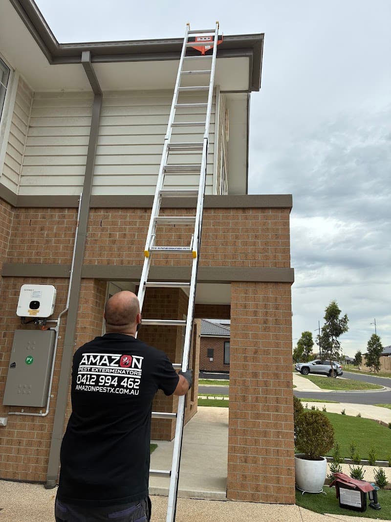 Amazon Pest Exterminators pest control work in Reservoir